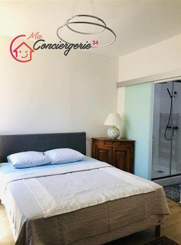 Appartement Standing Hotel Particulier Montpellier Exterior photo